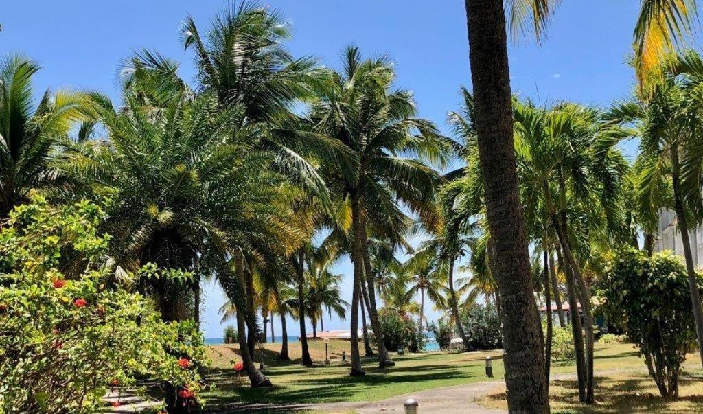 Ti.Maanga Vue Mer Pieds Dans L'Eau سانت فرانسوا المظهر الخارجي الصورة