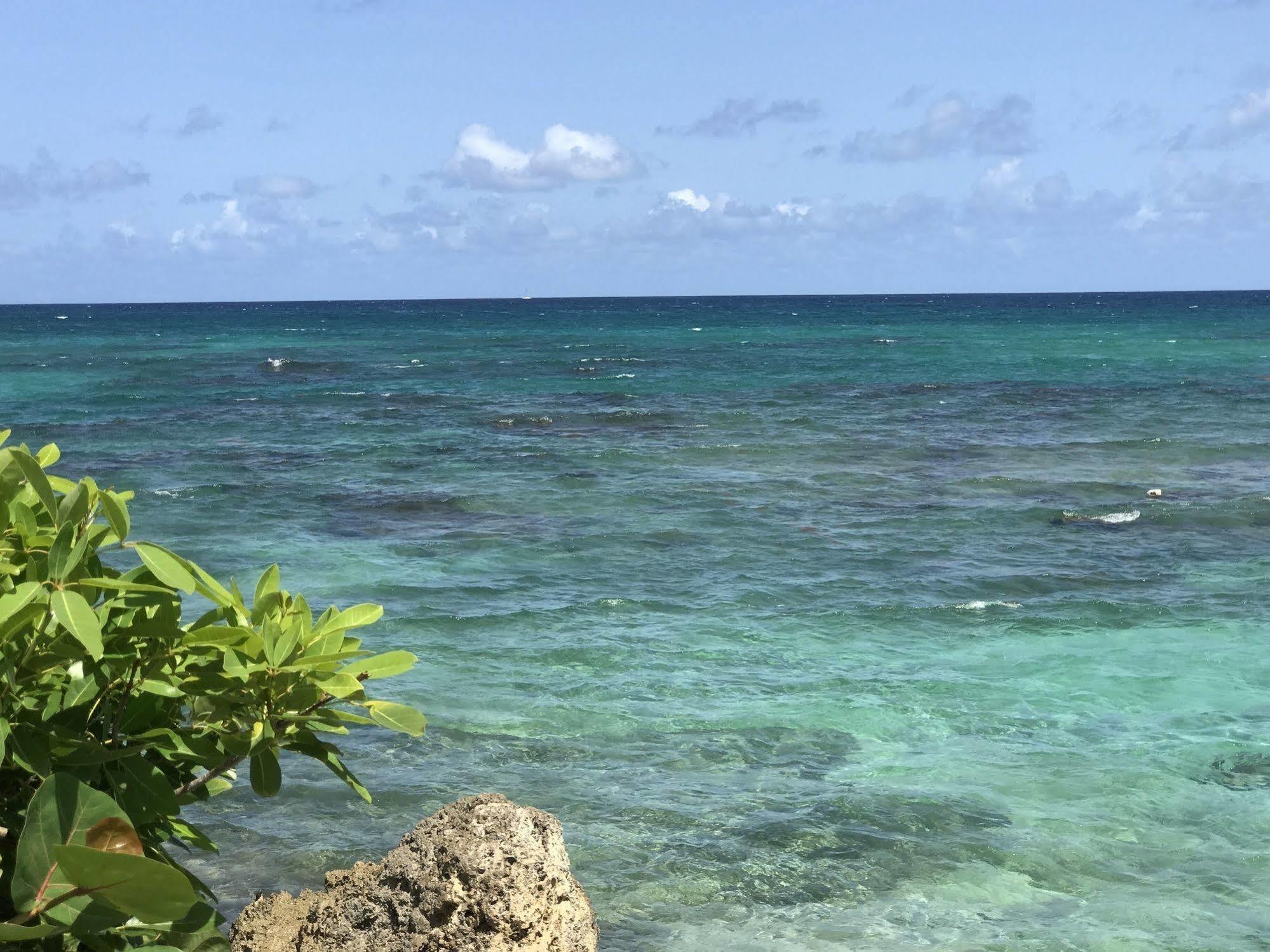 Ti.Maanga Vue Mer Pieds Dans L'Eau سانت فرانسوا المظهر الخارجي الصورة