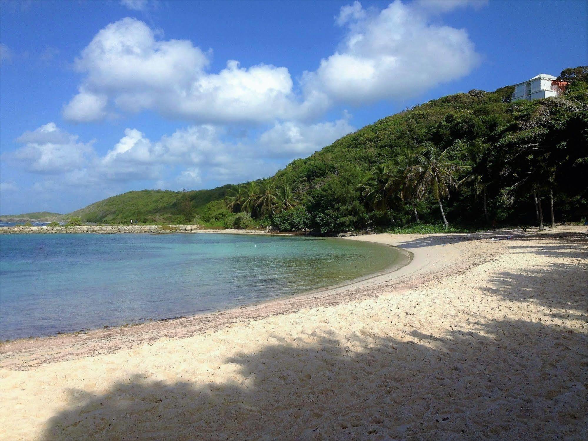 Ti.Maanga Vue Mer Pieds Dans L'Eau سانت فرانسوا المظهر الخارجي الصورة