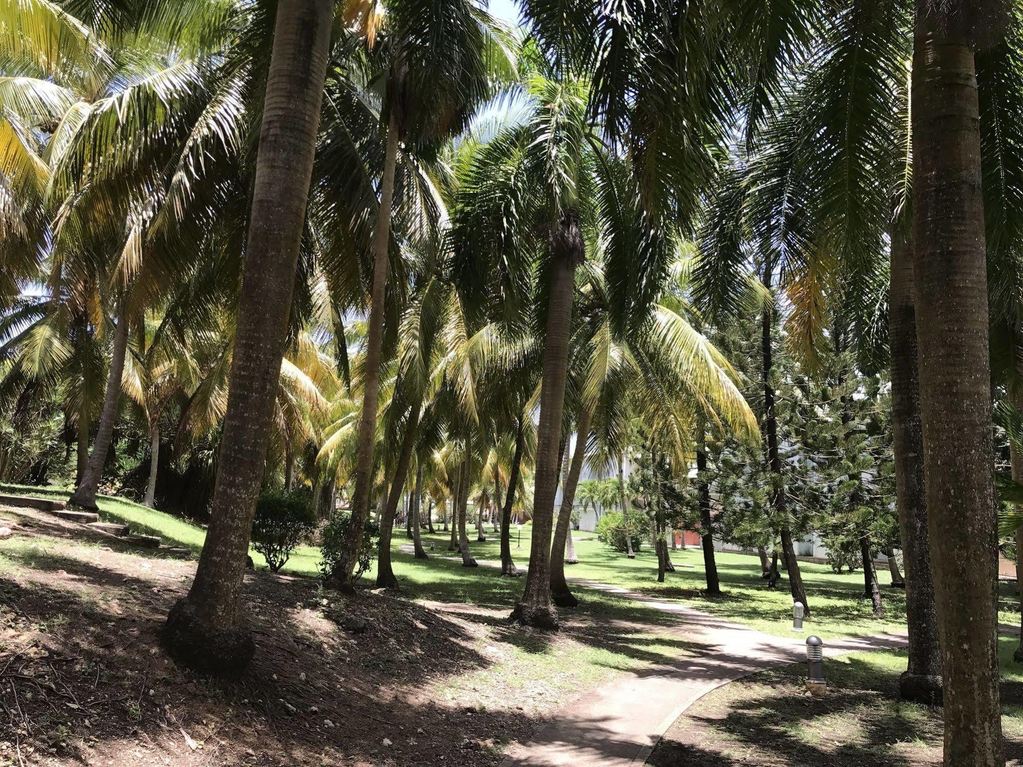 Ti.Maanga Vue Mer Pieds Dans L'Eau سانت فرانسوا المظهر الخارجي الصورة